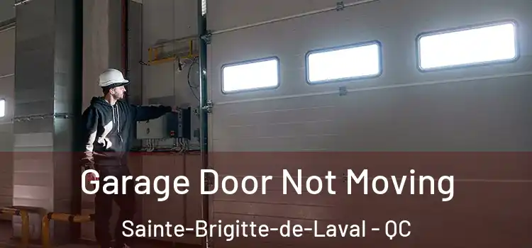  Garage Door Not Moving Sainte-Brigitte-de-Laval - QC