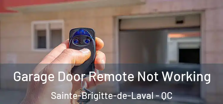  Garage Door Remote Not Working Sainte-Brigitte-de-Laval - QC
