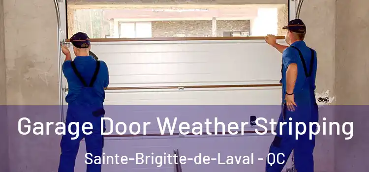  Garage Door Weather Stripping Sainte-Brigitte-de-Laval - QC