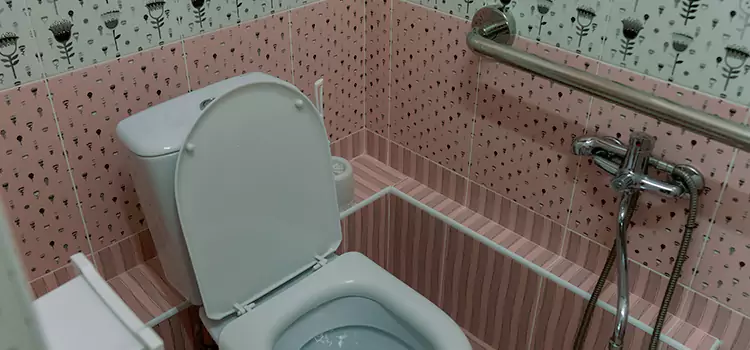 Meeting Diverse Needs With Accessible Restroom Solutions in Sainte-Brigitte-de-Laval, QC