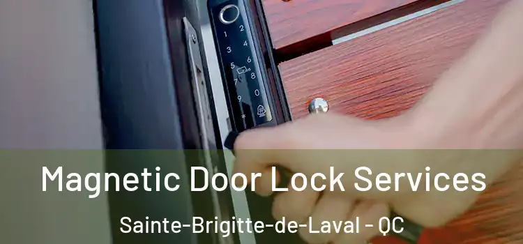 Magnetic Door Lock Services Sainte-Brigitte-de-Laval - QC