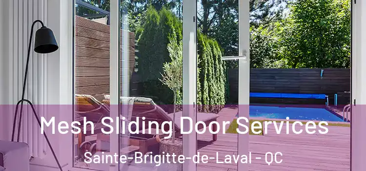 Mesh Sliding Door Services Sainte-Brigitte-de-Laval - QC