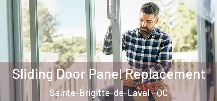  Sliding Door Panel Replacement Sainte-Brigitte-de-Laval - QC